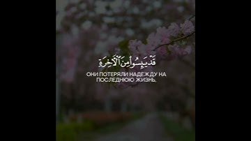 مقاطع قرآن قصيرة بصوت شريف مصطفى - حالات واتس اب دينية * تلاوة خاشعة ♥️🍃