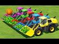 LOAD &amp; TRANSPORT WATERMELONS &amp; CARS WITH CLAAS WHEEL LOADERS - Farming Simulator 22