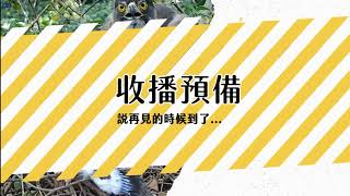 2021巢位直播明年有緣見~畫質調整版) 大安森林公園鳳頭蒼鷹巢位直播回顧　Crested Goshawk Nest Cam, Daan Park, Taiwan カンムリオオタカの子育て生中継