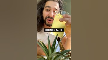 How to make a Plant Fertilizer out of Cucumber Peels | creative explained