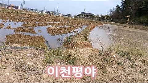 이천평야  Shorts