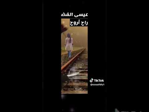 13 أغسطس 2023