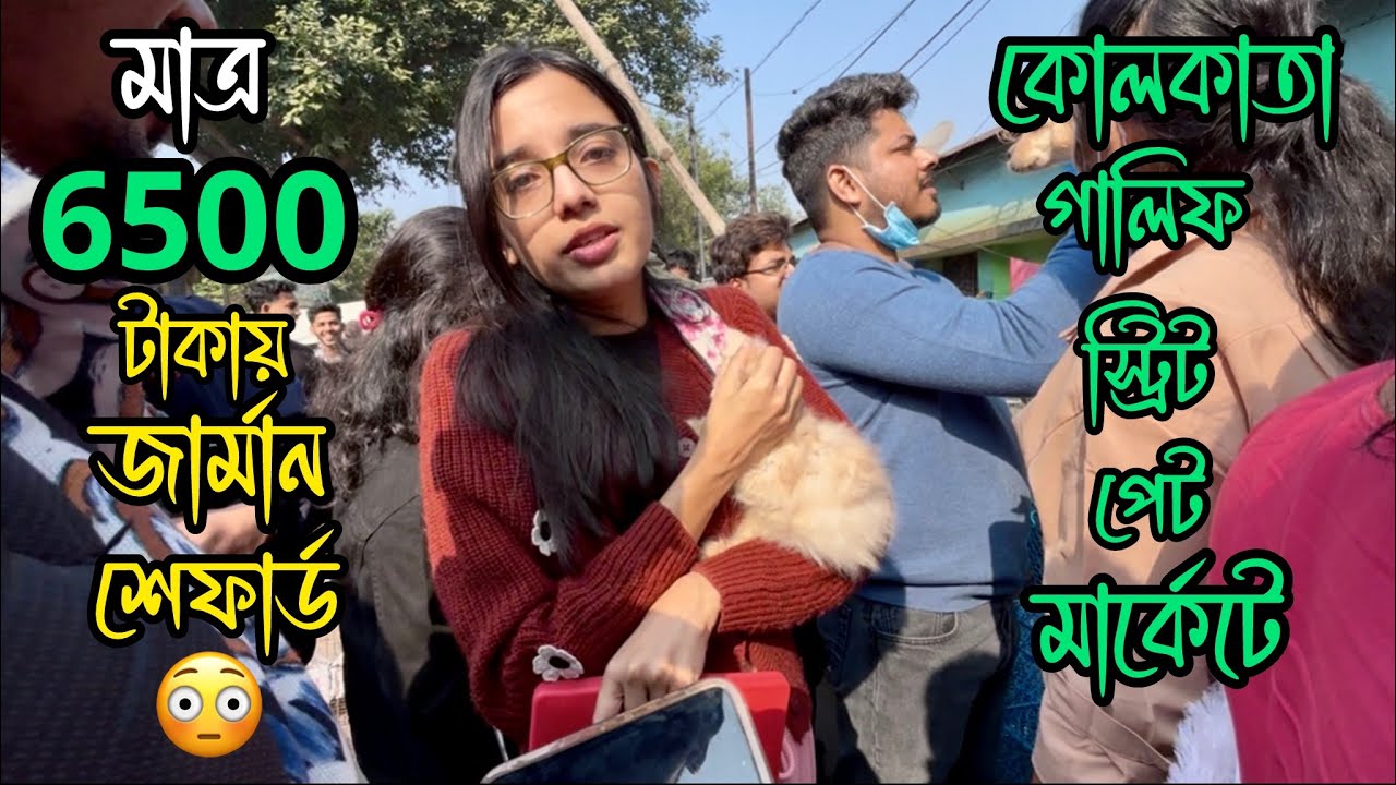 মাত্র 6500 টাকায় জার্মান শেফার্ড 😳🔥| Galiff Street Pet Market | Dog Market in Kolkata 