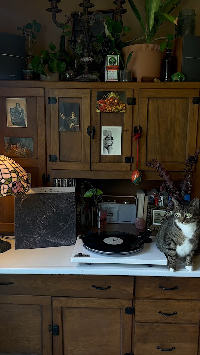 perfect songs: part 1– sea, swallow me #90s #vinyl #cocteautwins #shoegaze