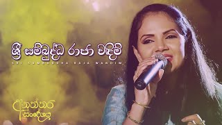 Video thumbnail of "ශ්‍රී සම්බුද්ධ රාජා වඳිම් | Shri Sambuddha Raja Wandim | Shashika Nisansala"