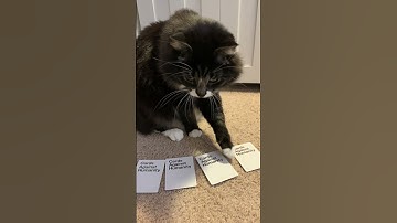 Your persistence is admirable