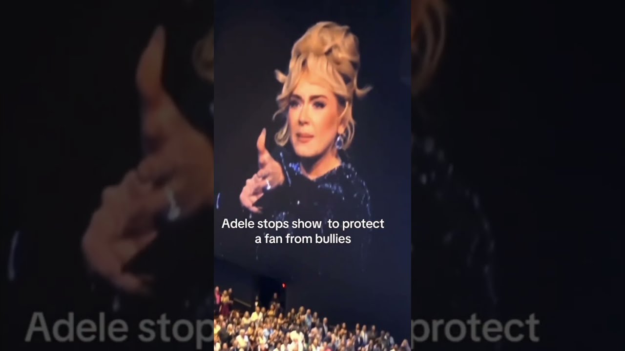 Adele Fan Says He S Not Sorry 