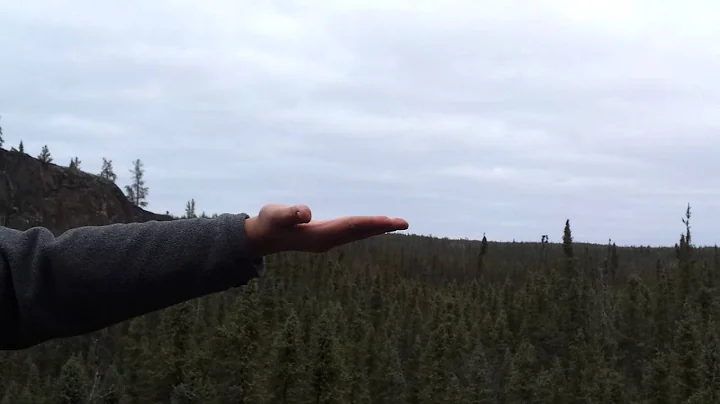 Grey Jays at Jay's Rock