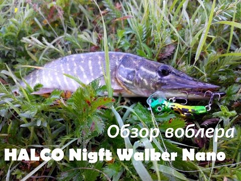 Видеообзор воблера HALCO Nigft Walker Nano