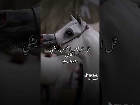 أنا عزيز النفس ماذلني شي