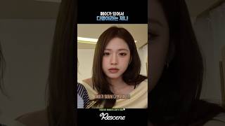 치즈냥이리브 대표 영상 썸네일