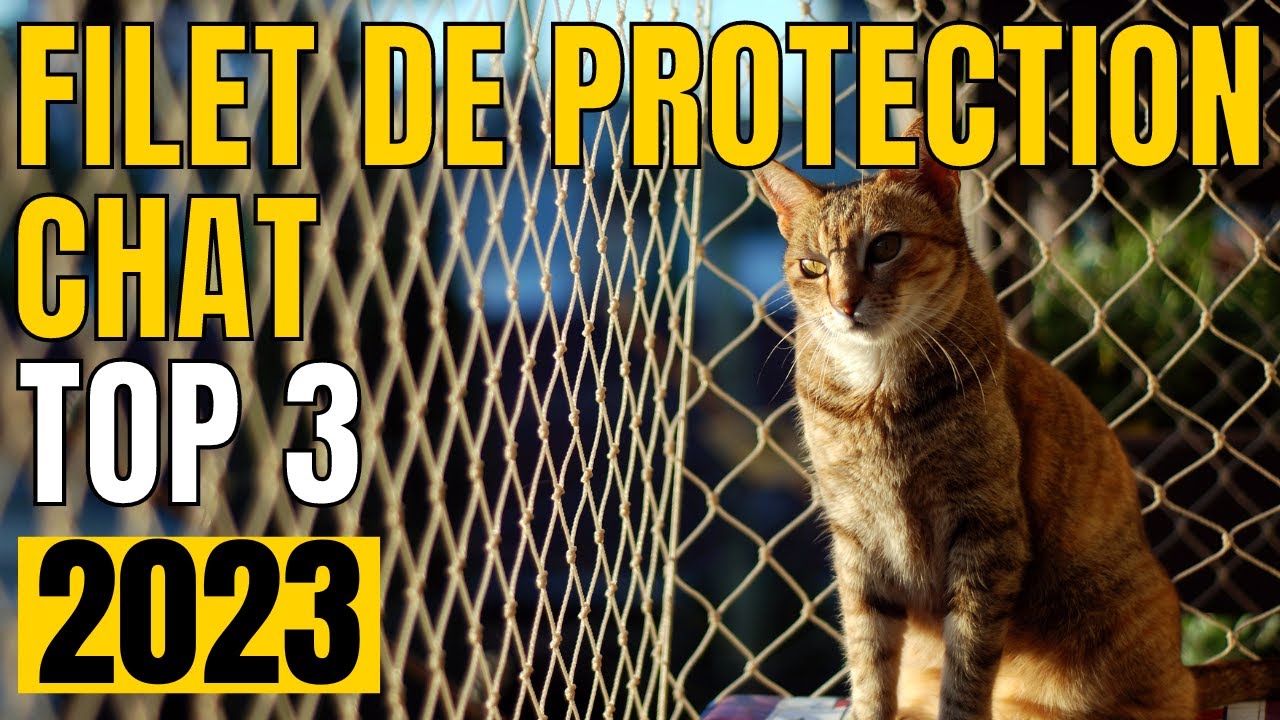 Filet Chat,Filet de Protection Chat,Protection Fenetre Chat Sans Percer  Découpable avec Crochets Cordes et Chevilles,Filet Renforcé pour Balcons,  Terrasses, Fenêtres, Lucarnes et Portes (4*3m) : : Animalerie