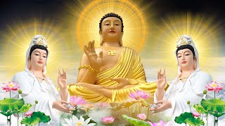 🙏🏻🌸 每日誦念大悲咒,觀音慈悲護佑,消除災厄煩惱,招來福報財運,為家人祈福平安健康,讓生活充滿祥和與幸福!💖🌿 Buddhist Music
