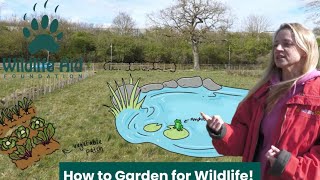How to Make Your Garden Wildlife Friendly 🦔🌿 | We're Building a Wildlife Garden