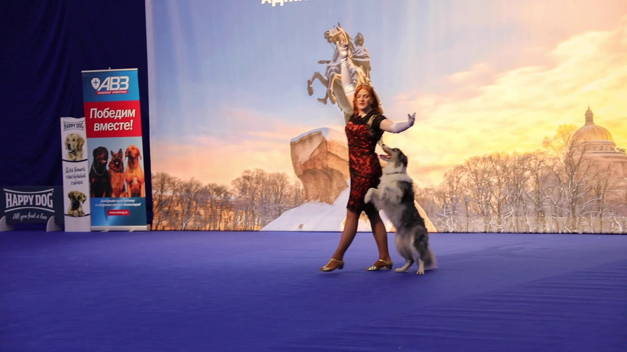 12.12.2020, СПб. Невский Победитель-2020. Танцы с собаками. Выступает Люба Шинкаревич (СПб)