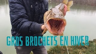 Pêche du Big Brochet en Hiver 2016 #1