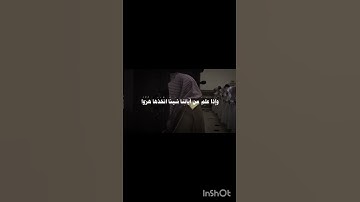 #محمد_اللحيدان #قران #سورة_الجاثية