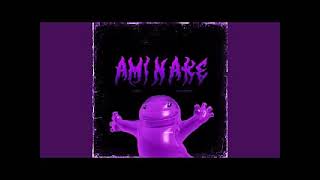 Amınake Funk (Slowed + Reverb)  .Tr90