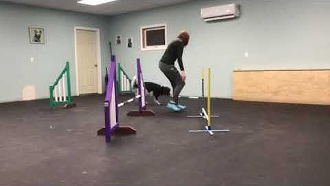 4.2 Set Point Jumping