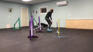 4.2 Set Point Jumping