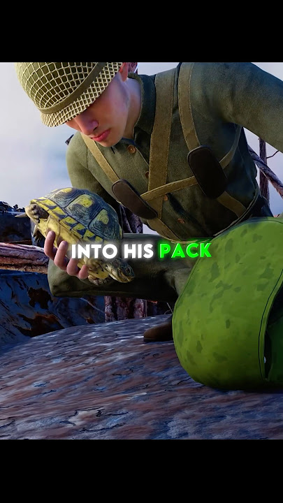 The Soldier And Turtle Story 🐢❤️