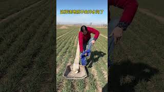 Download Lagu Grappige originele video #18 MP3 Download Lagu Grappige originele video #18 MP3