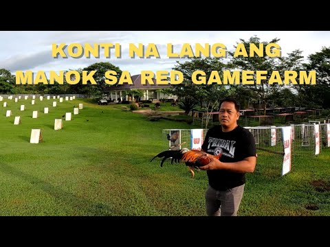 BUYING STAG AT RED GAMEFARM | Boss Noli Vlog