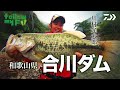 川村光大郎 Follow my F!! 【和歌山県 合川ダム】｜Ultimate BASS by DAIWA Vol.249