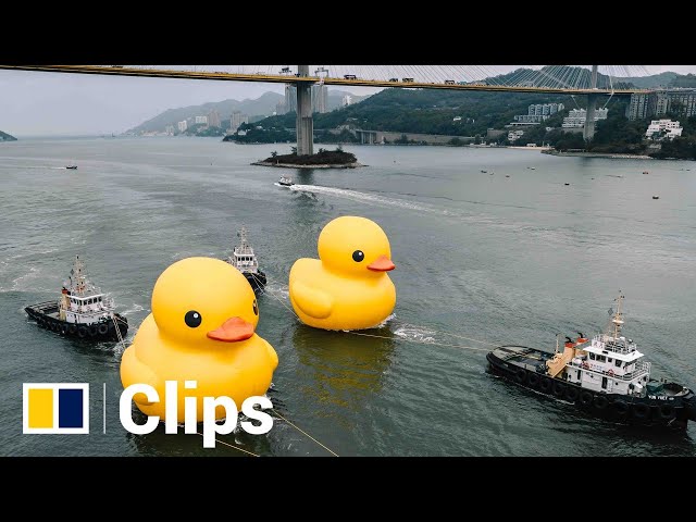 Giant rubber duck returns to Hong Kong - with a friend