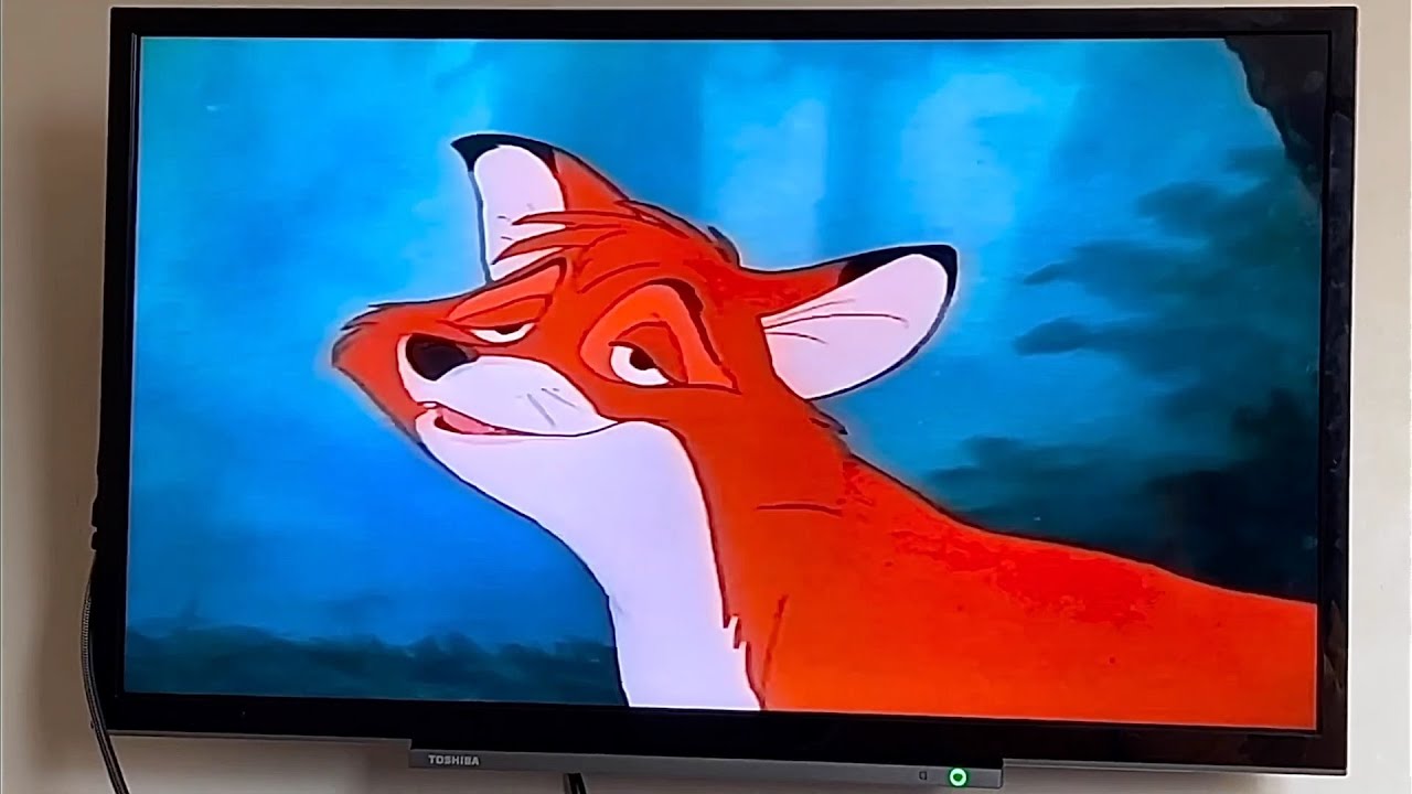 The Fox And The Hound: Adult Tod (1981) (iPhone) (35) - YouTube