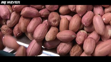 Meyer New Sorters for Sorting Nuts