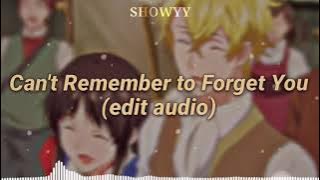 Can't Remember to Forget You Edit Audio