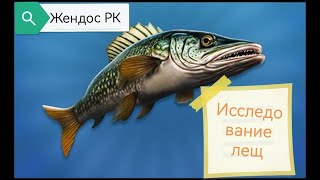 Реальная рыбалка 2 Исследование лещ на карасевом