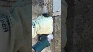IMG 8987