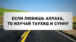 Если любишь Аллаха, то изучай таухид и сунну || Абу Яхья Крымский