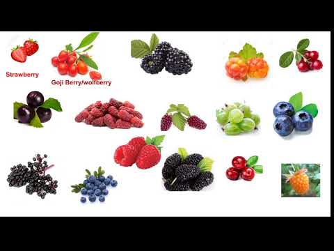 Video: Boysenberry Hasat Rehberi: Boysenberries'i Nasıl ve Ne Zaman Toplayacağınızı Öğrenin