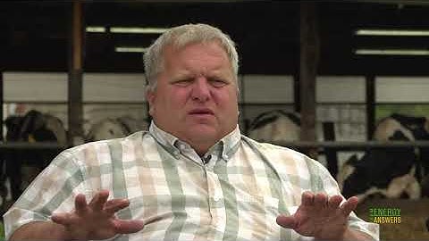 Energy efficient LEDs and Long Day Lighting for Dairy