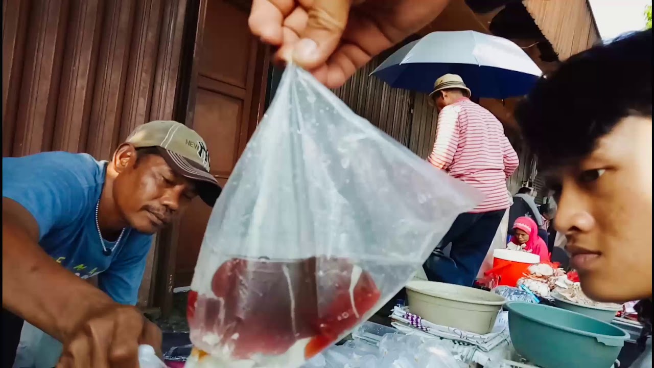 Survey Harga Ikan Hias Di Pasar Jatinegara Youtube