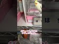 【オカメインコ💣はち】退けぃ💢と言わんばかりんに、ボディアタックを仕掛けるオカメインコは初めて見た・・・💦 #鳥界の重戦車