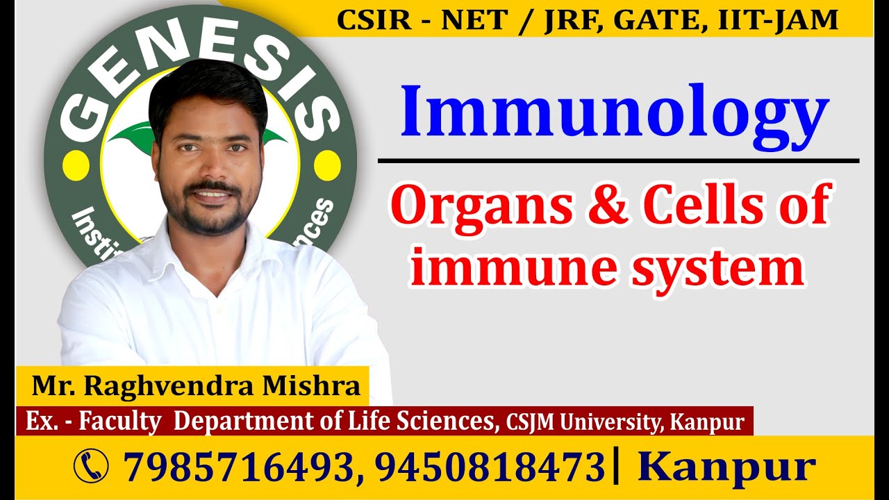 Cells Organ Of Immune System By Raghvendra Sir CSIR GATE DBT 