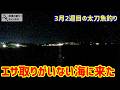 エサ取りがいない海で太刀魚を狙う。3月2週目の太刀魚釣り。