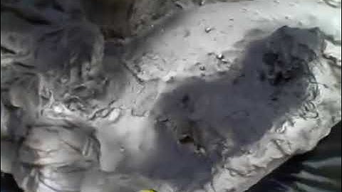 modelRRscenery.com - Paint, and Paint Again Part 2.avi