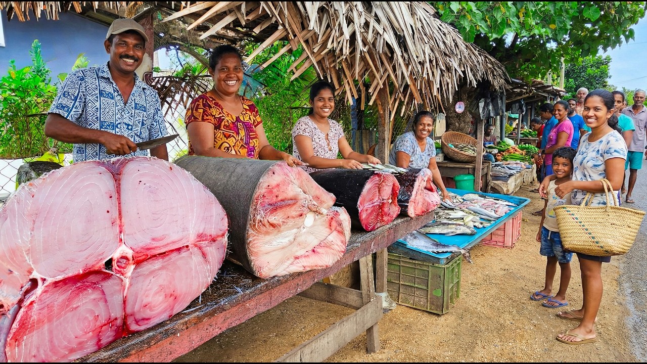 Wow! Sri Lankas Village Fish Market The Dramatic Struggle Of Fishermen’s Life