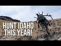 How to Hunt in IDAHO This Year! | Idaho Controlled Hunts Explained