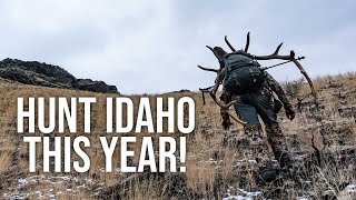 How to Hunt in IDAHO This Year! | Idaho Controlled Hunts Explained