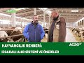 Besi Çiftliğinde Yapılması Gerekenler / Agro TV