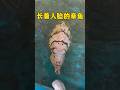 长着人脸的章鱼 涨知识 科普 百科密码 搞笑 长着人脸的章鱼 涨知识 科普 百科密码 搞笑