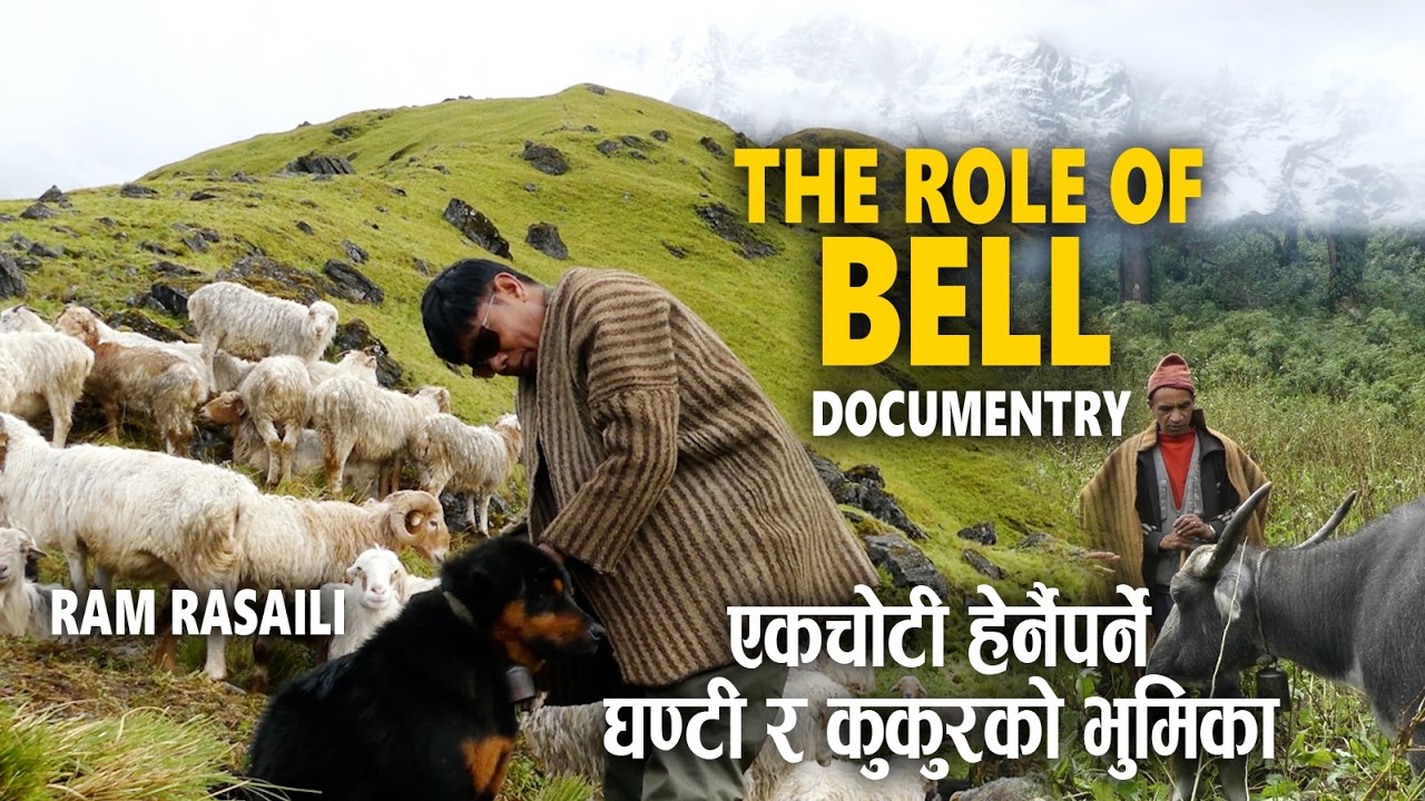 The Role of bell | Documentry | Ram Rasaili | Light Music Nepal