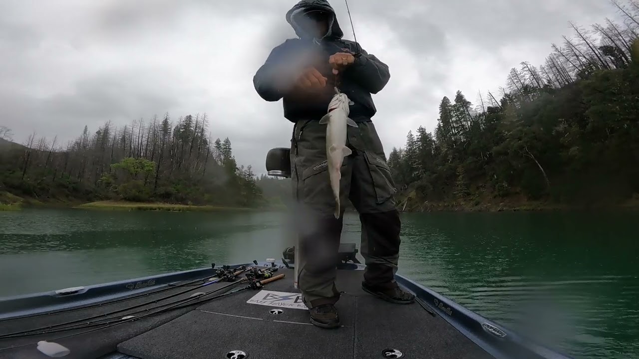 Lake Pillsbury Bass Fishing!!