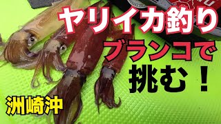 【ヤリイカ釣り】ブランコで挑む！イシナギのエサ調達｜釣り方・仕掛け｜東京湾洲崎沖｜2024.5.1